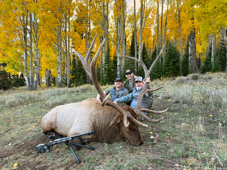 Utah Elk Hunting