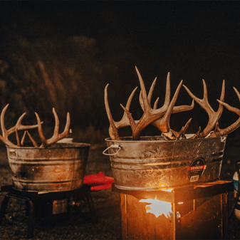 Idaho backcountry whitetail hunt