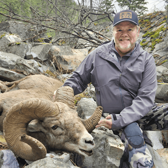 Montana Bighorn Sheep Hunting