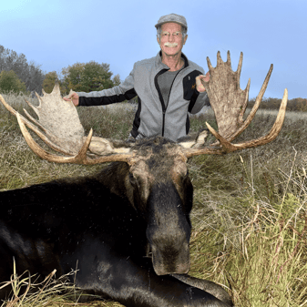 Montana Moose Hunting