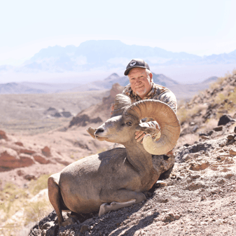 Nevada Bighorn Sheep Hunting