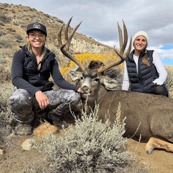 Nevada Mule Deer Hunting