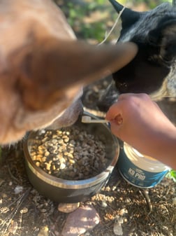 Wilderness Athlete K9 Pro